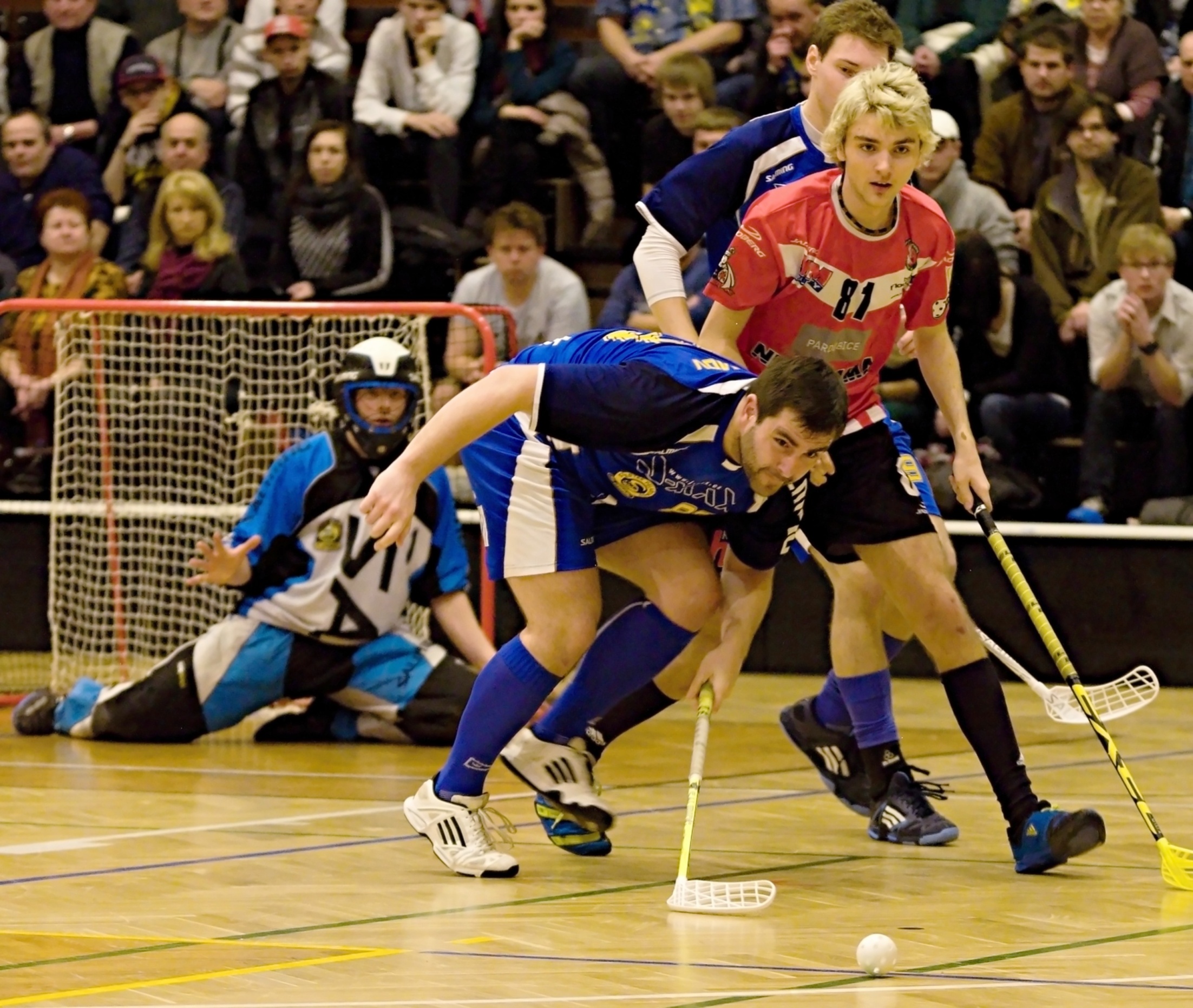 Pe.A   PArdubice 16.2.2013 (45)